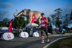 BIB: 
                            <button type="button" onclick="openModal(26541833)" class="btn btn-primary btn-sm float-right btn-popup" data-toggle="modal" data-target=".modal-high-quality">
                        <i class="fas fa-shopping-cart"></i> Add to Cart
                    </button>
                                            <button type="button" onclick="isThisMe(26541833, true)" class="btn btn-success btn-sm float-right btn-popup btn-isme hidden" data-toggle="tooltip" data-placement="bottom" title="นี่คือรูปของคุณใช่ไหม คลิกที่นี่เพื่อเอาเข้าอัลบั้ม">
                        <i class="fas fa-plus"></i> Add to album
                    </button>
                    <button type="button" onclick="isThisMe(26541833, false)" class="btn btn-warning btn-sm float-right btn-popup btn-isnotme hidden">
                        <i class="fas fa-ban"></i> Remove from album
                    </button>